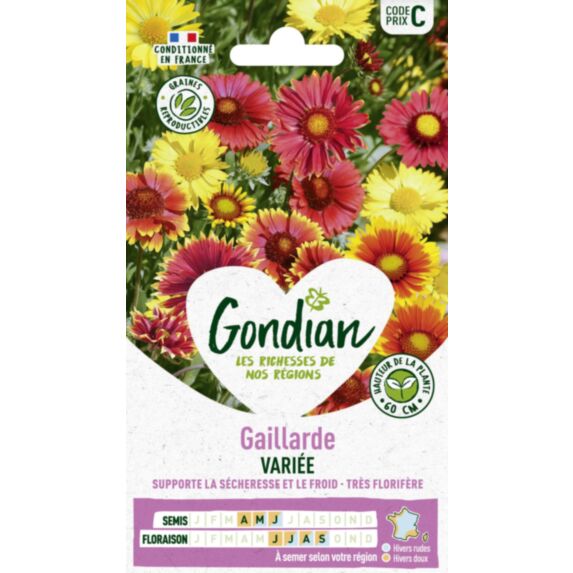 Gaillarde Vivace Variée - GONDIAN
