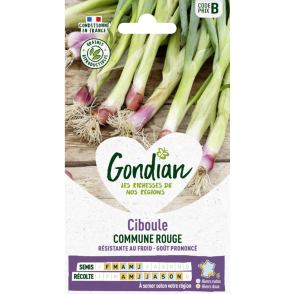 Ciboulail Commune Rouge - GONDIAN