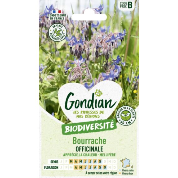 Bourrache Officinale - GONDIAN