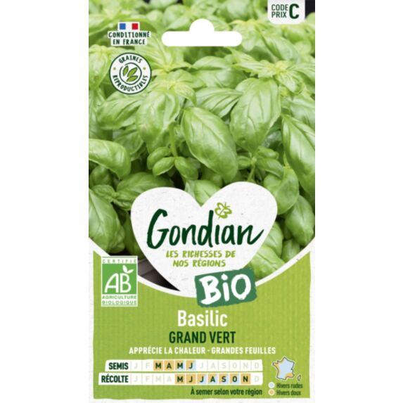 Basilic Grand Vert Bio - GONDIAN