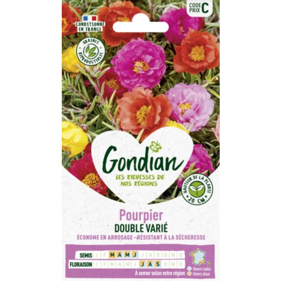 Pourpier Double Varié - GONDIAN