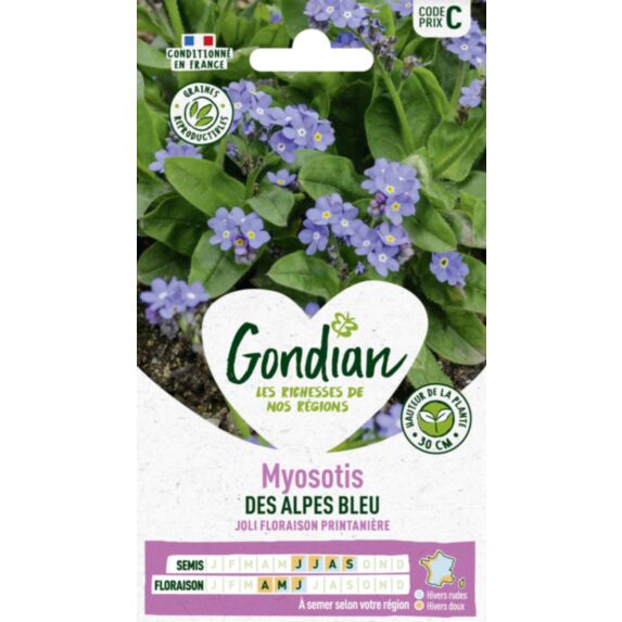 Myosotis des Alpes Bleu - GONDIAN