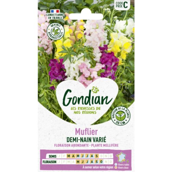 Muflier Demi-nain Varié - GONDIAN