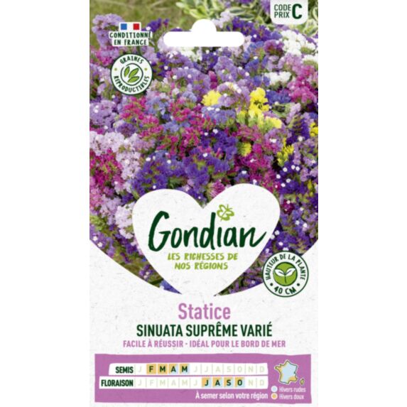 Statice Sinuata Variée - GONDIAN