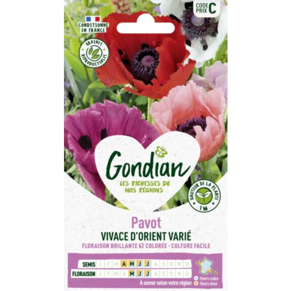 Pavot Vivace d'Orient Varié - GONDIAN