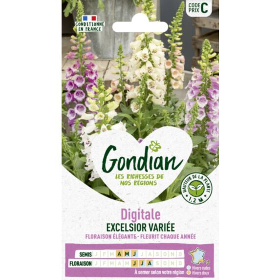 Digitale Excelsior Variée - GONDIAN
