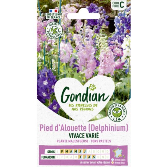 Pied d'Alouette Vivace Varié - GONDIAN