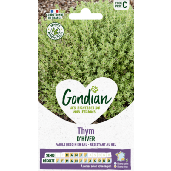 Thym Ordinaire - GONDIAN