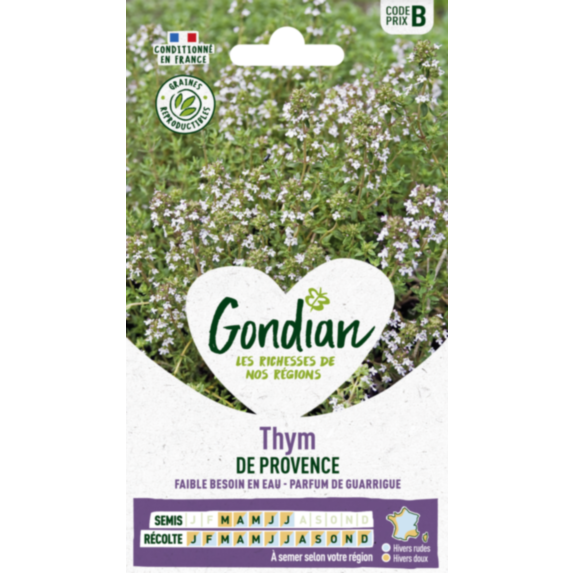 Thym de Provence - GONDIAN