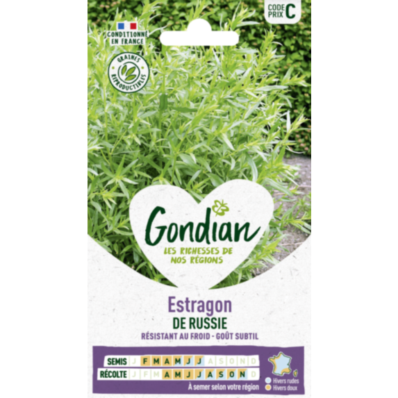Estragon de Russie - GONDIAN