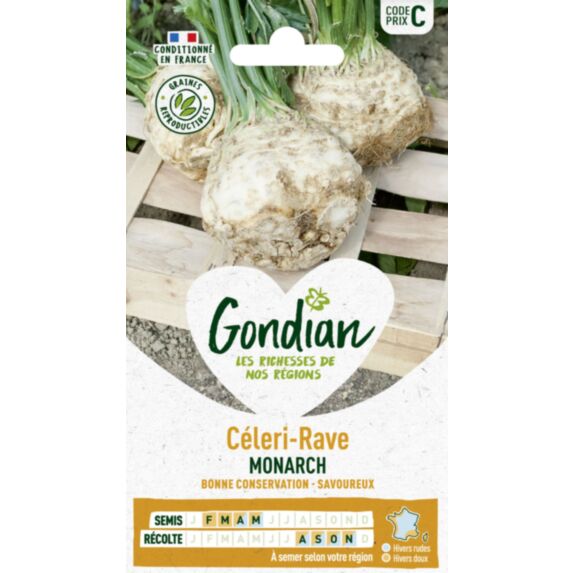 Céleri-Rave Monarch - GONDIAN