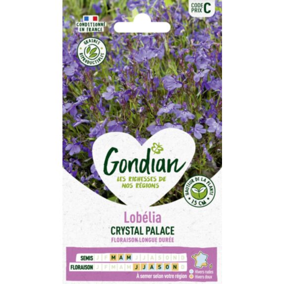 Lobélia Crystal Palace - GONDIAN