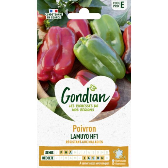 Piment Lamuyo HF1 - GONDIAN