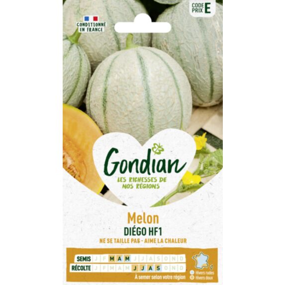 Melon Diego HF1 - GONDIAN