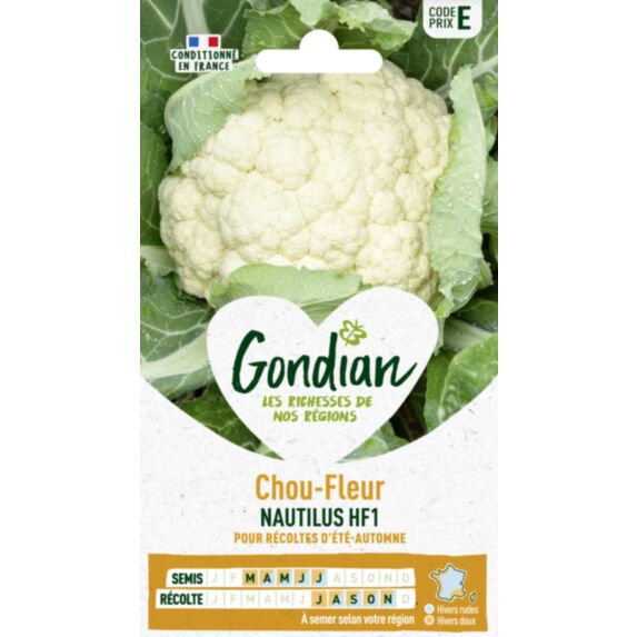 Chou-Fleur Nautilus HF1 - GONDIAN