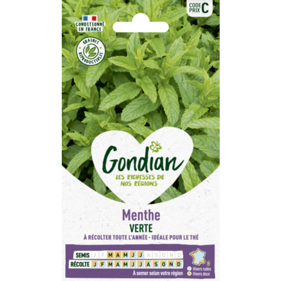 Menthe Verte - GONDIAN