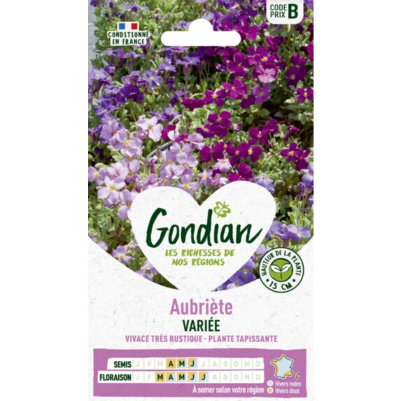 Aubrietia Hybride Variée - GONDIAN