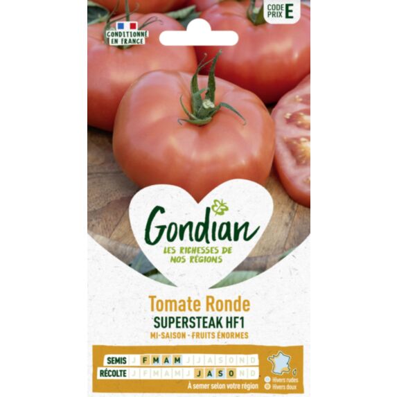 Tomate Supersteak HF1 - GONDIAN