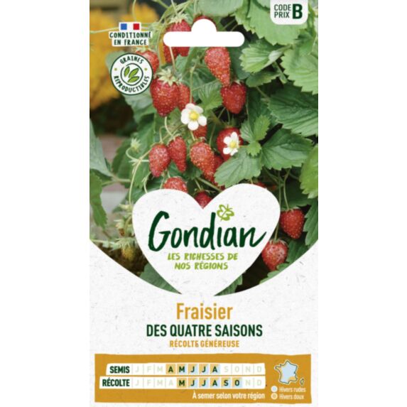 Fraisier des 4 Saisons - GONDIAN