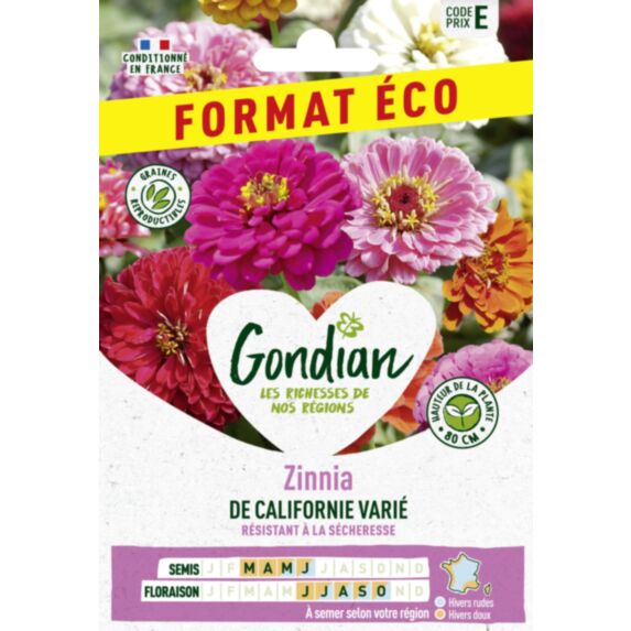 Zinnia de Californie Varié - GONDIAN