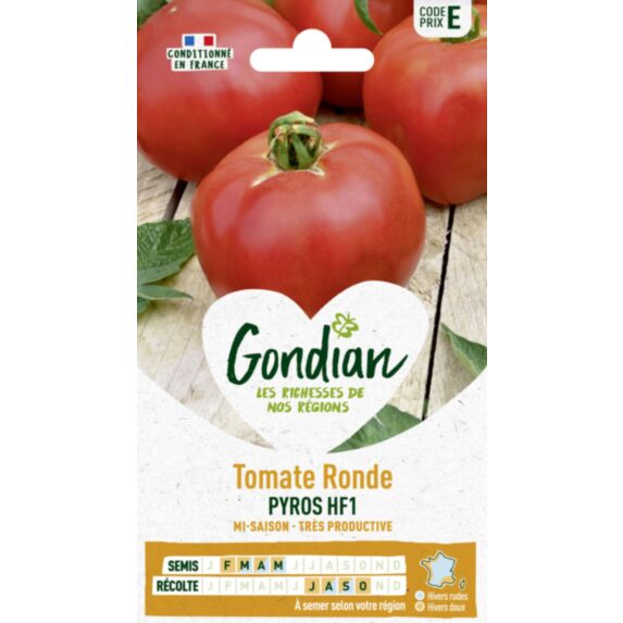 Tomate Pyros HF1 - GONDIAN