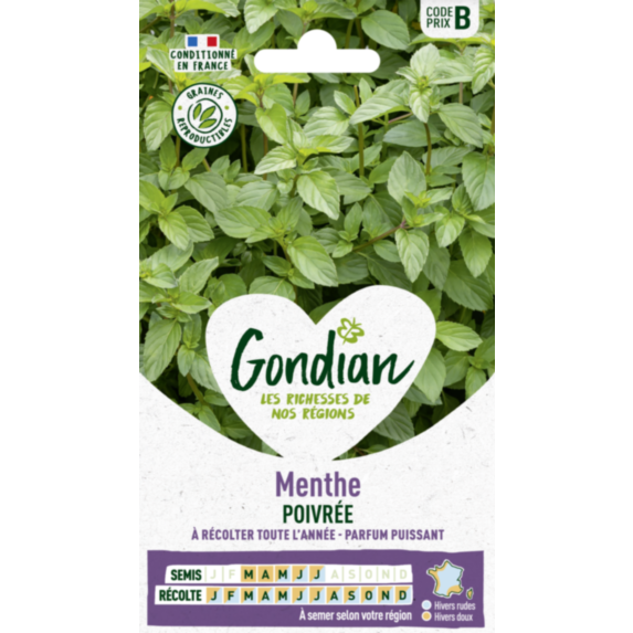 Menthe Poivrée - GONDIAN