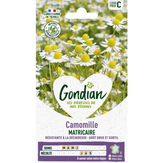 Camomille Ordinaire - GONDIAN
