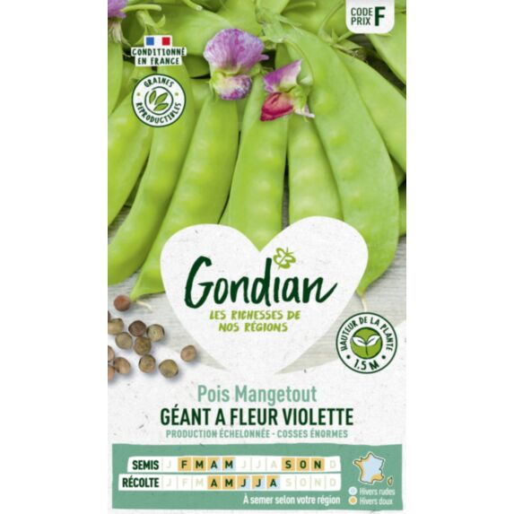 Pois Géant à Fleur Violette - GONDIAN