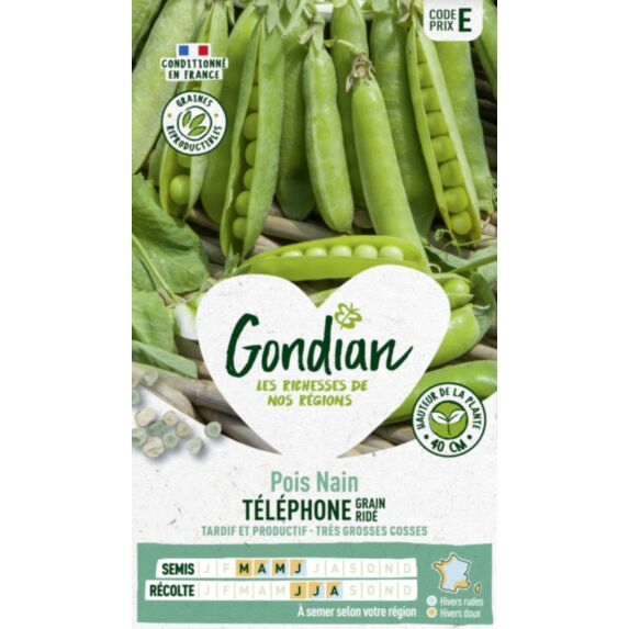 Pois Téléphone Nain - GONDIAN