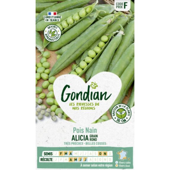 Pois Alicia - GONDIAN