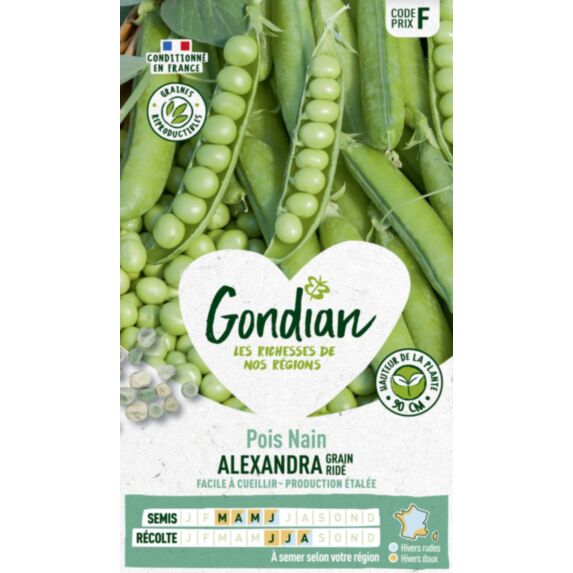 Pois Alexandra - GONDIAN