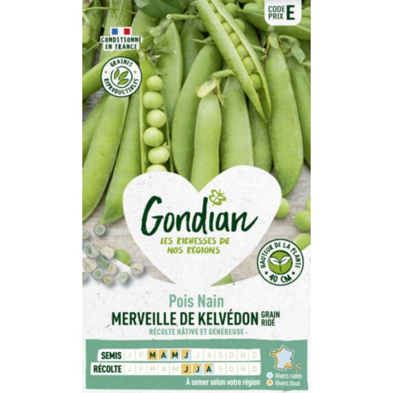 Pois Merveille de Kelvédon - GONDIAN
