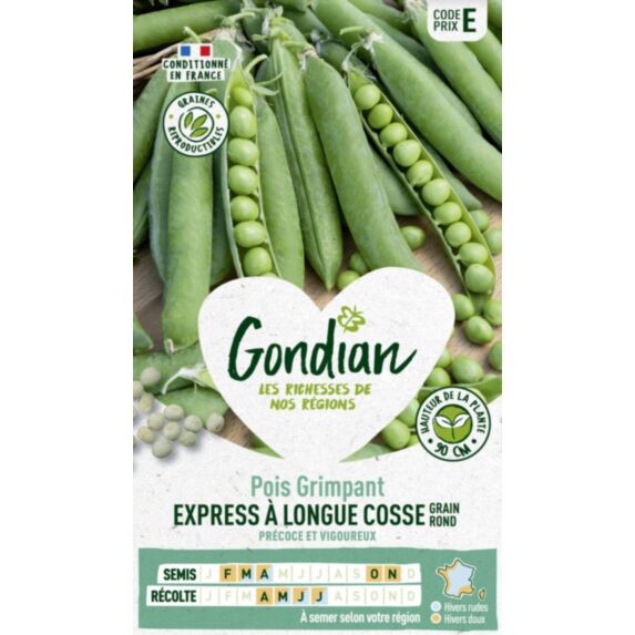 Pois Express à Longue Cosse - GONDIAN