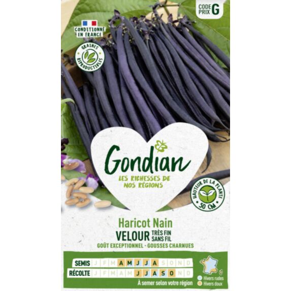 Haricot Velour - GONDIAN