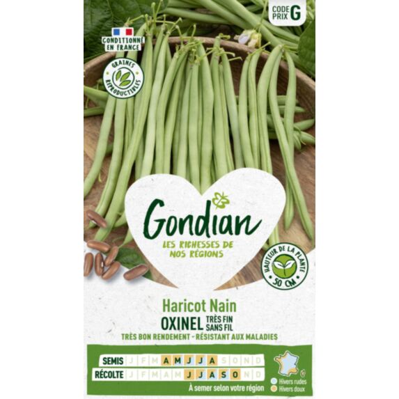 Haricot Oxinel - GONDIAN