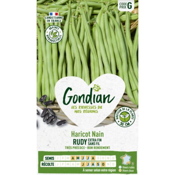 Haricot Rudy - GONDIAN