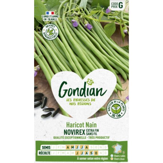 Haricot Novirex - GONDIAN