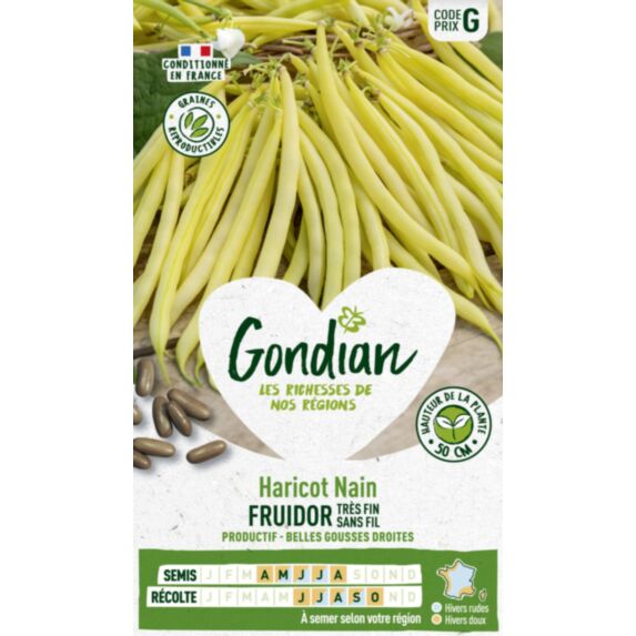 Haricot Fruidor - GONDIAN