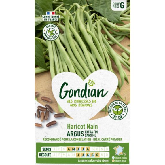Haricot Argus - GONDIAN