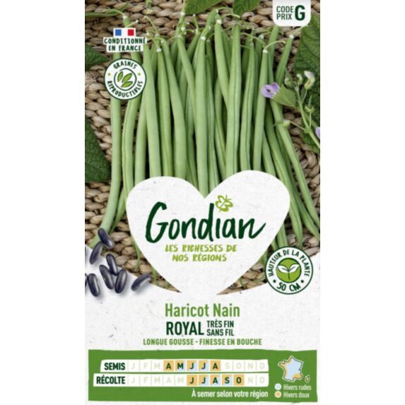 Haricot Royal - GONDIAN