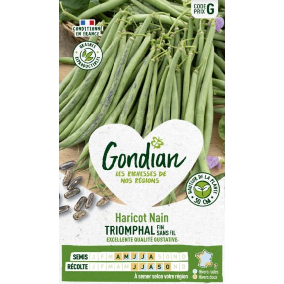 Haricot Triomphal - GONDIAN