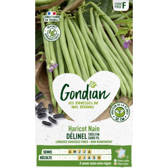 Haricot Délinel - GONDIAN