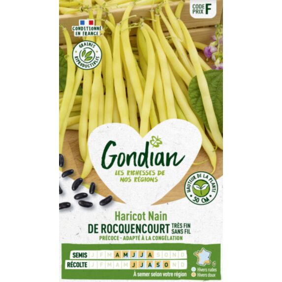 Haricot de Rocquencourt - GONDIAN