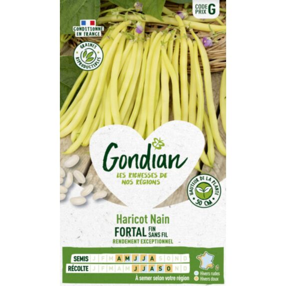 Haricot Fortal - GONDIAN
