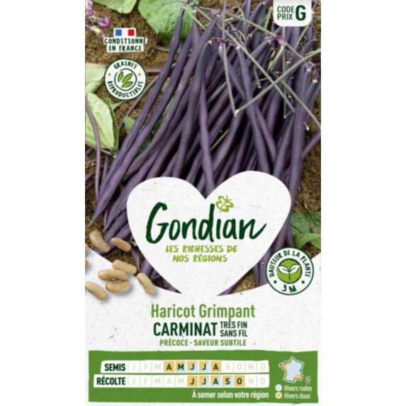 Haricot Carminat - GONDIAN