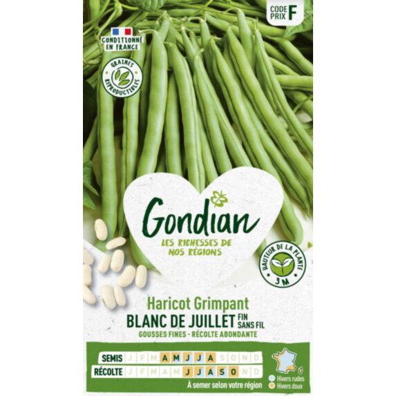 Haricot Perfection Blanc - GONDIAN
