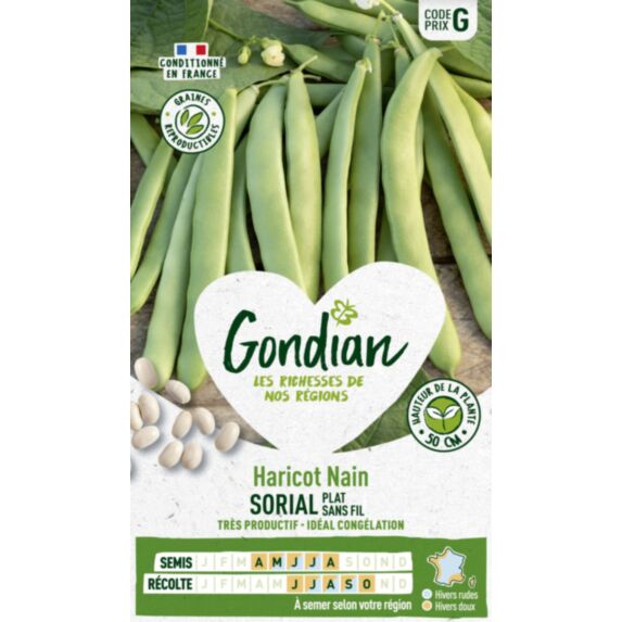 Haricot Sorial - GONDIAN