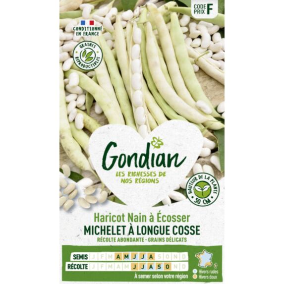 Haricot Michelet à Longue Cosse - GONDIAN