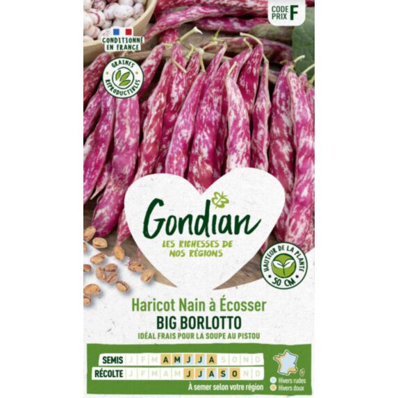 Haricot Big Borlotto - GONDIAN