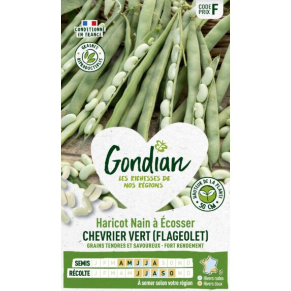 Haricot Chevrier Vert - GONDIAN